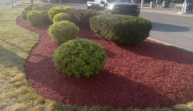 R&M Landscaping NY - Albany-Troy-Saratoga Springs, NY