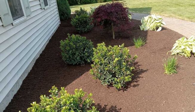 R&M Landscaping NY - Albany-Troy-Saratoga Springs, NY