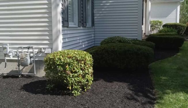 R&M Landscaping NY - Albany-Troy-Saratoga Springs, NY