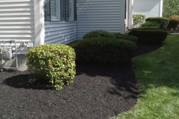 R&M Landscaping NY - Lawn Care & Gardening